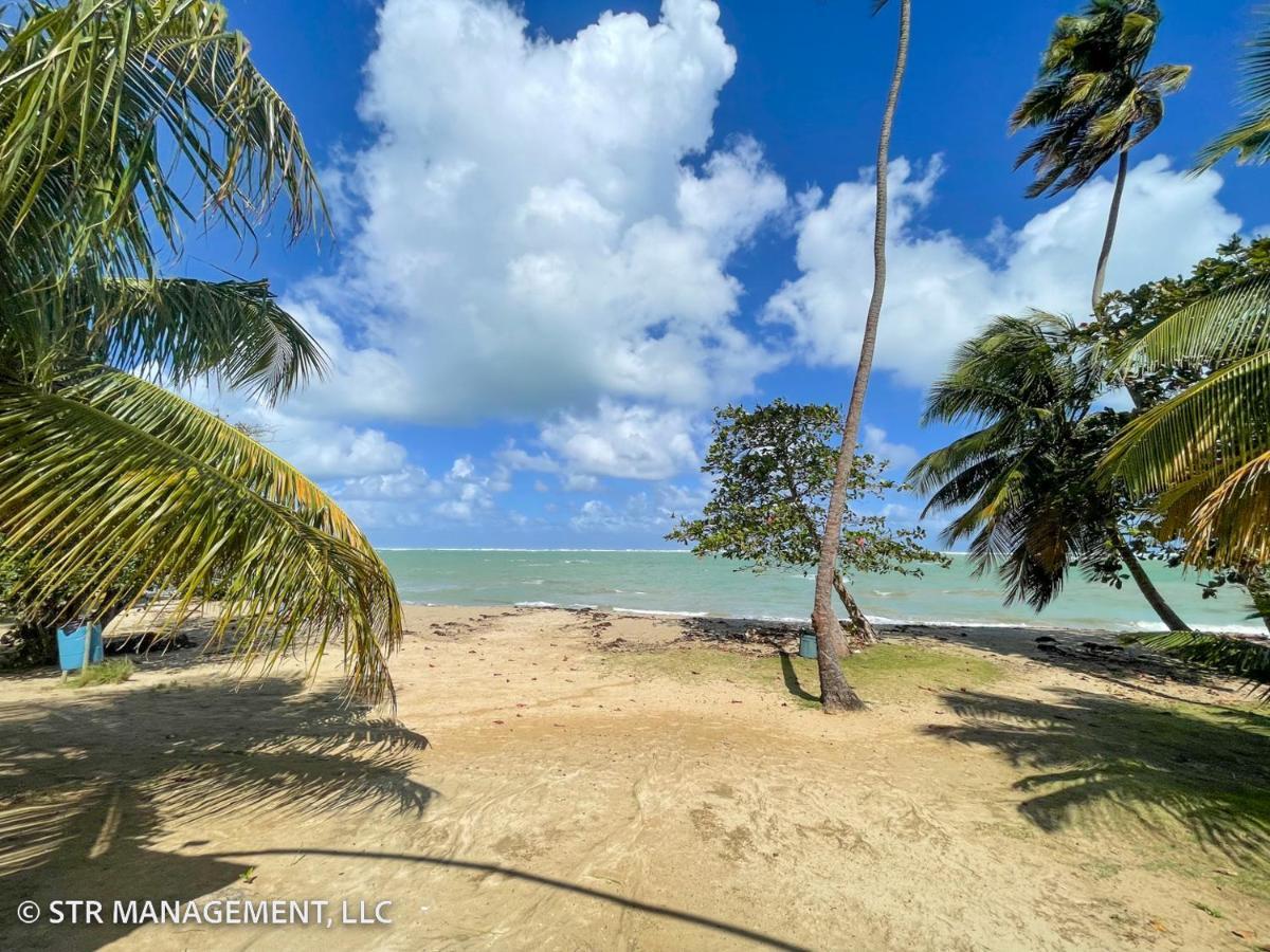 Upscale Condo At Aquatika Beach & Vacation Villas Loiza Exterior foto